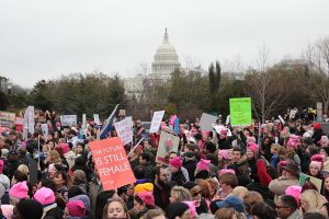 Hundreds of thousands of people joined together for the Women's March on Washington. Photo by Lu Gerdemann.